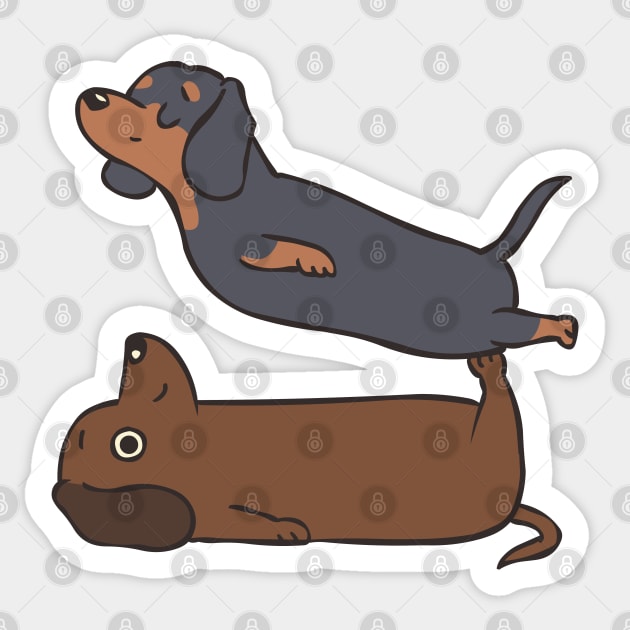 Acroyoga Dachshund Sticker by huebucket